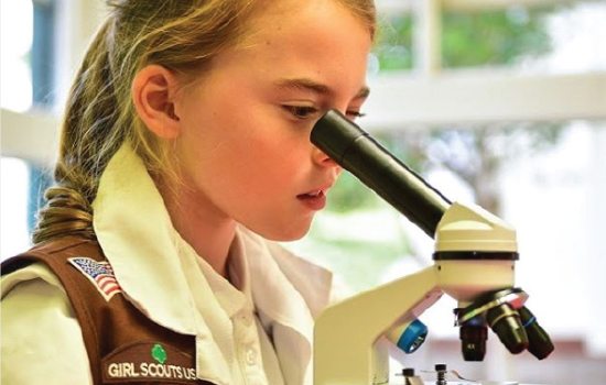 Engaging Boy Scouts and Girl Scouts to Promote STEM Products